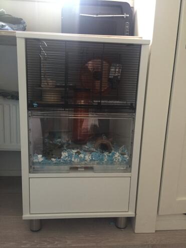 Omlet White Qute Hamster and Gerbil Cage