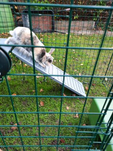 Great additional run enrichment