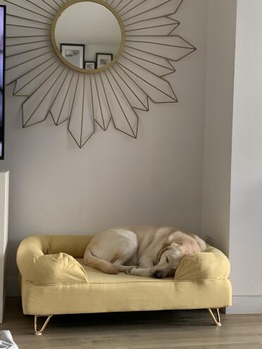 A large choice of colours to suit your room