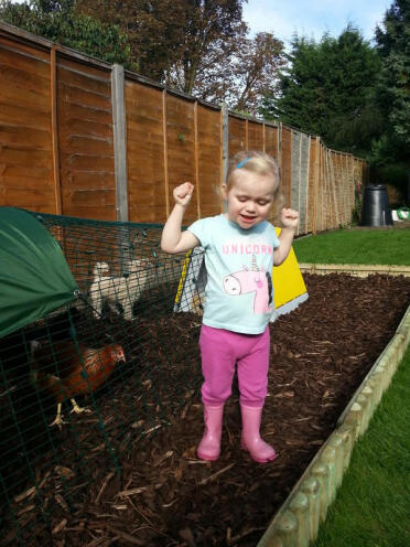 Chickens are eggciting for all the family!