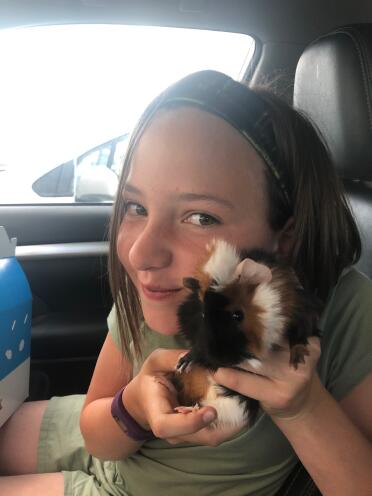 How sweet is this guinea pig named luna!