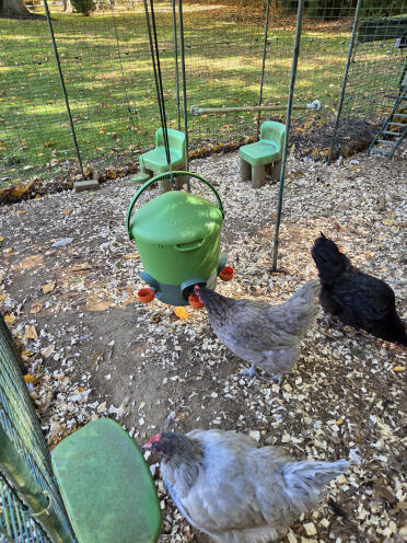 Allows the waterer to remain stable when the wind blows
