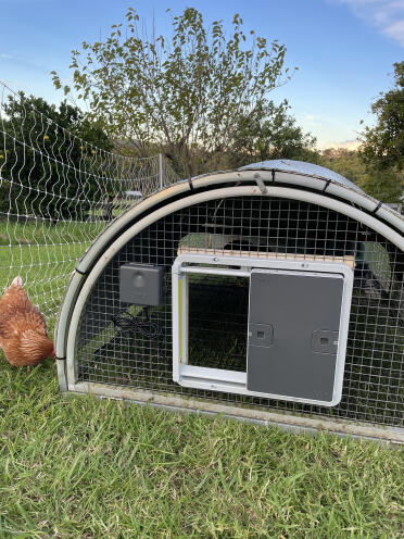 It can be mounted on mesh as well