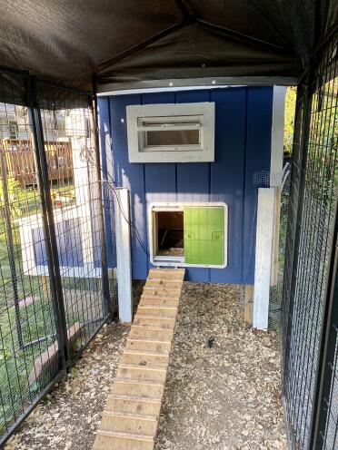 Just installed the auto coop door and it looks great!