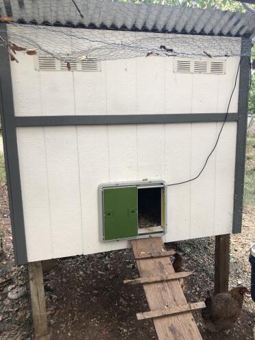 Looks so cute on our new coop and it works like a charm!