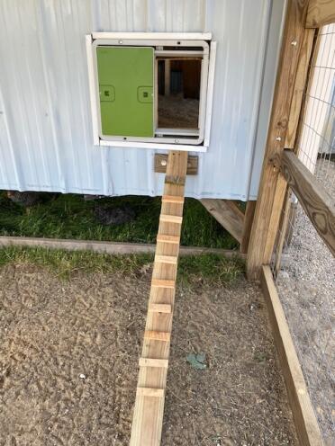 Ramps help your hens get to your autodoor!