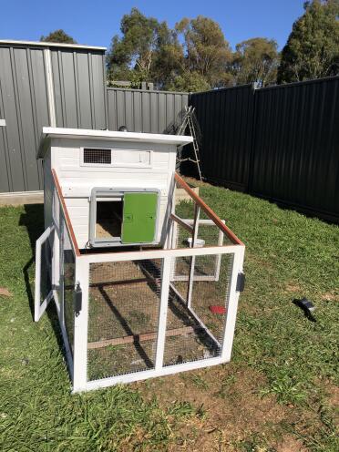 Omlet Green Automatic Chicken Coop Door Attached to Wooden Chicken Coop