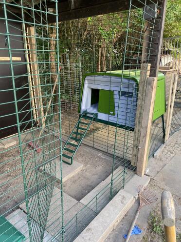 What a great setup for your chickens!