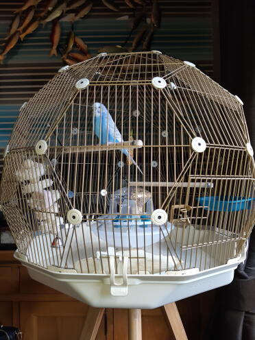 Baby's new home