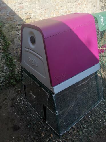 Eglus make great homes for your hens