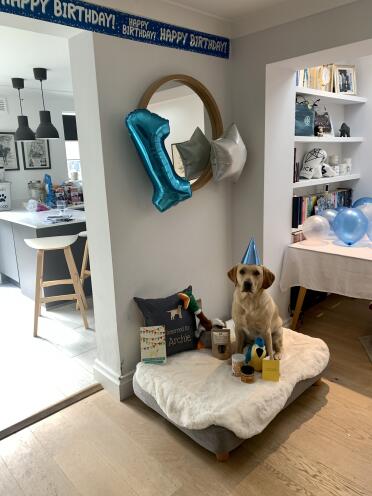 Birthday bed
