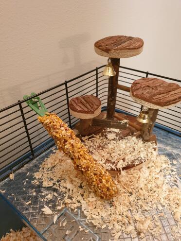 Treat in Cage