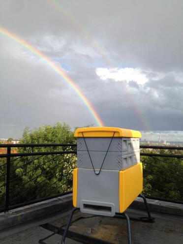 Beehaus in rainbow by highgate honey