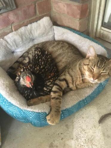 Best friends ???? 