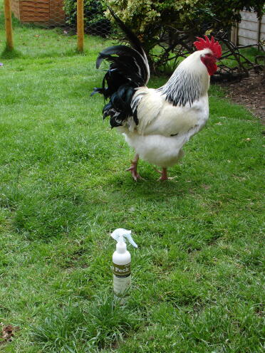 Das könnte ihn aufhalten