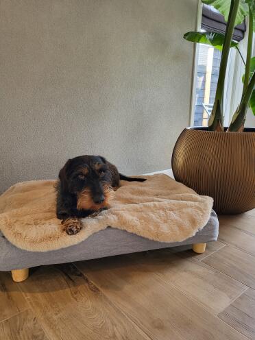Teun happy with his new basket!