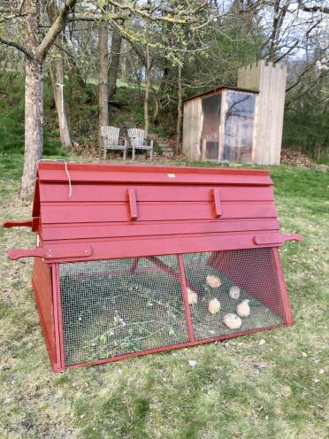 Choose the appearance of your coop to suit your chickens and your garden