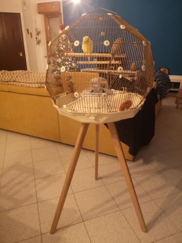 Omlet Geo bird cage with Gold cage, cream base and tall legs with budgies inside
