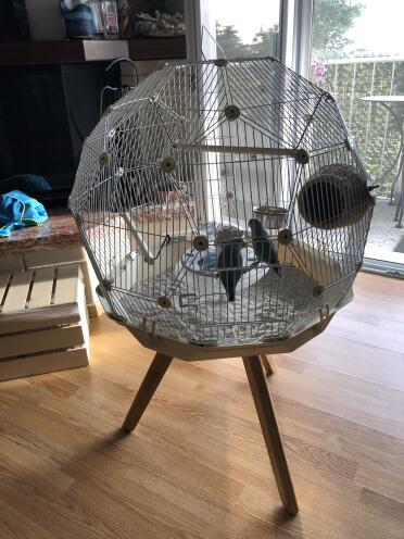 The geo looks great in any living room.
