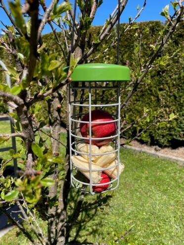 Omlet Caddi treat holder