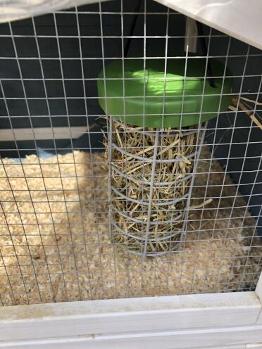 Hopefully this will keep his hay in one place :) 