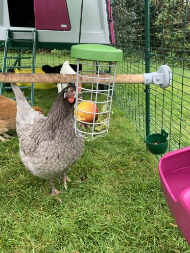 Full of treats! 
