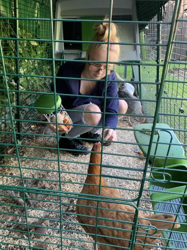 Kalee getting up close and making friends with lulu