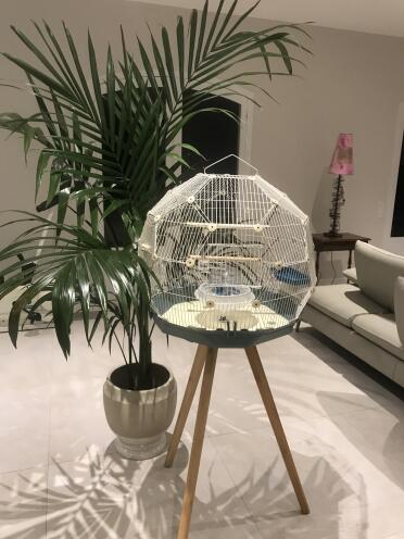 Omlet Geo bird cage with white cage, base and tall legs