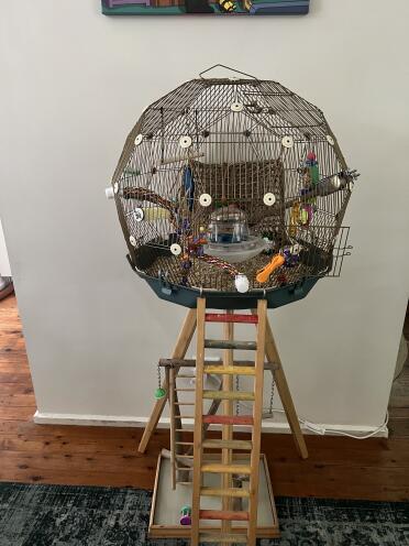 Ready for its new owner!