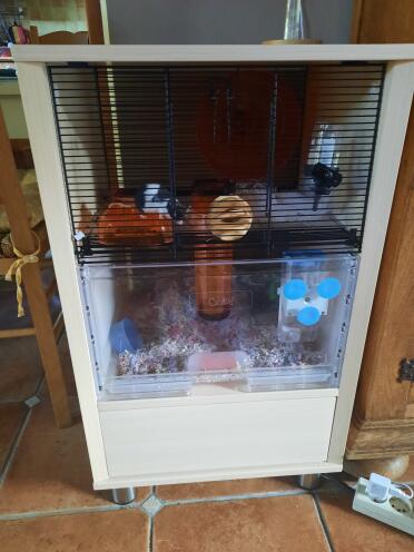All your hamster's favourite toys can be placed inside