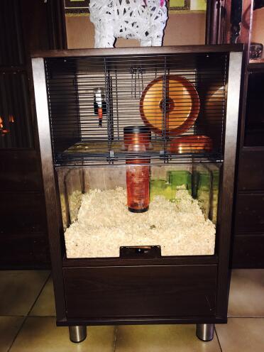 Der käfig meines loulou 