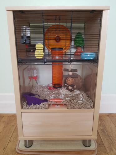 Carefresh tiereinstreu