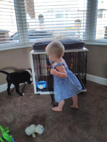Checking the door works
