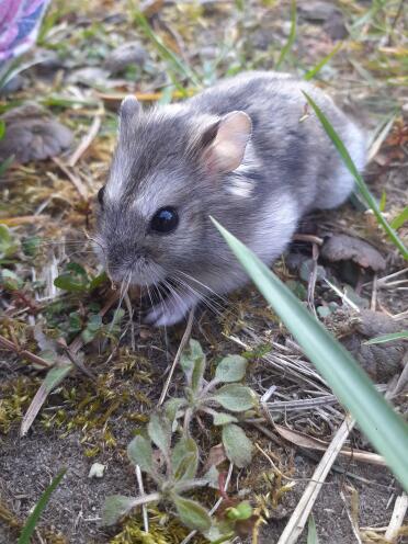 What a sweet little creature!