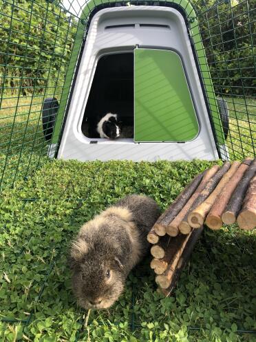 Edith and Molly in their palace