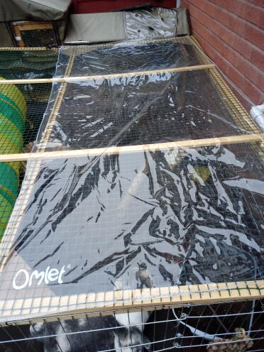 Bunny rain cover