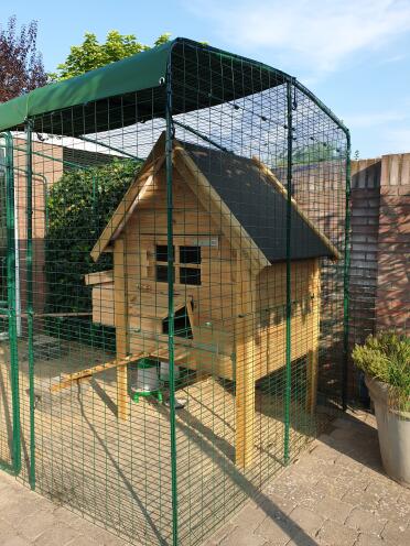 The walk in run covers offer your chickens cool shade on hot days.