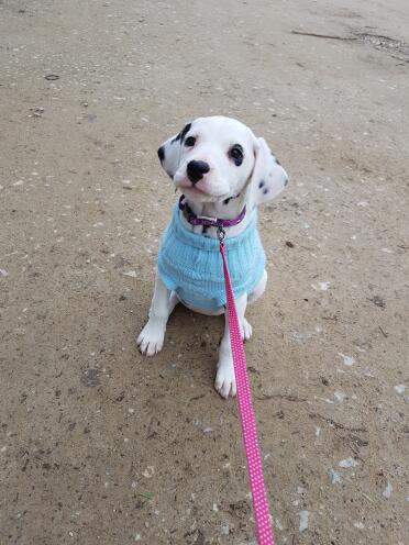 What a cosy outfit!