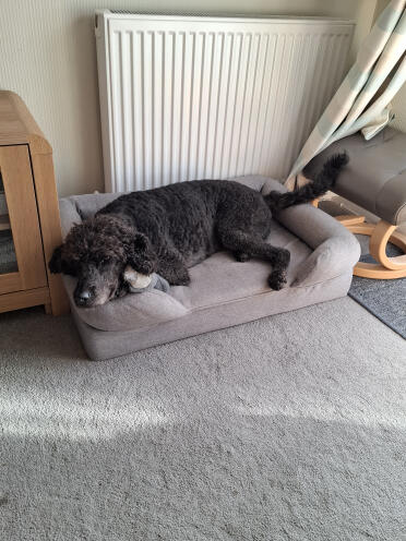 So comfy, love my bed