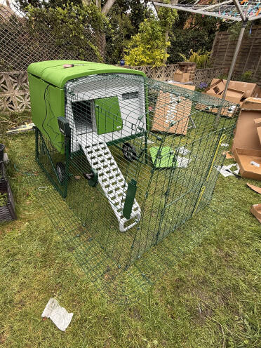 Eglu Cube avec 2m de course et Autodoor! beaucoup de boîtes Omlet 