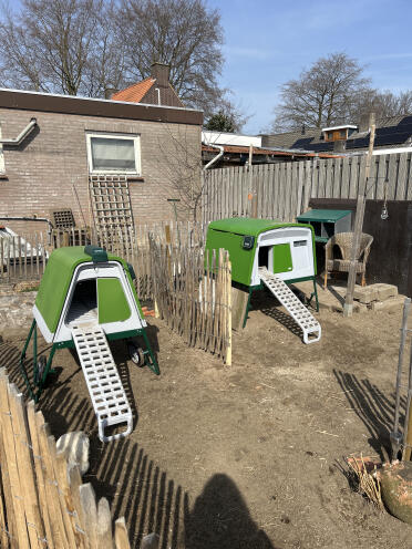 Cube and Go-up side by side