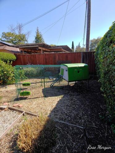 3' extension added on