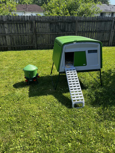 Eglu Cube, freshly built in just a few hours!