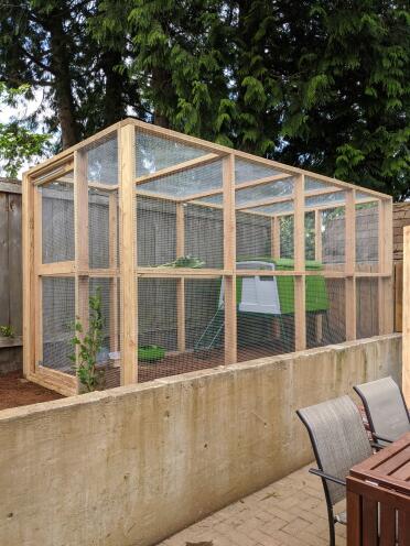 The Eglu Cube is so adorable in our backyard.