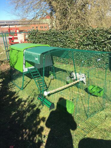 Omlet sell all you need to make a haven for your hens!