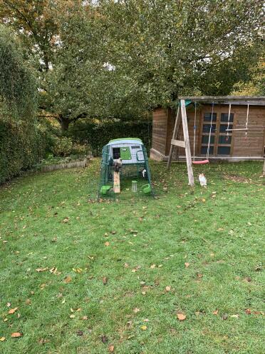 The Eglu Cube chicken coop looks great in your garden.