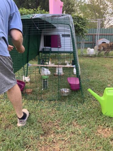 We love the easy of moving the chicken coop.