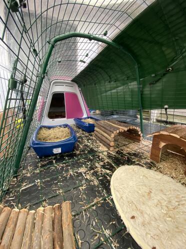 A lot of space for your rabbits