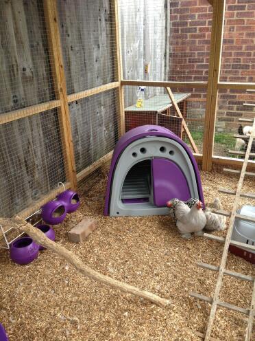 A chicken coop that can be placed inside a large run