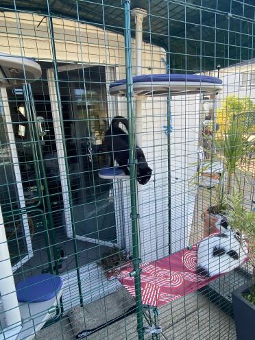 An outdoor cat tree installed inside a balcony enclosure